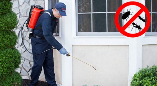 Yamanlar Böcek İlaçlama böcek ilaçlama ve haşere kontrolü — ilaclama-tr.com